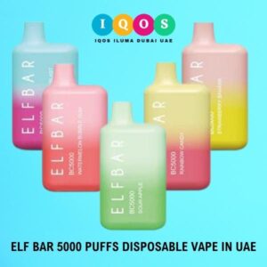 ELF BAR 5000 PUFFS DISPOSABLE DUBAI VAPE IN UAE
